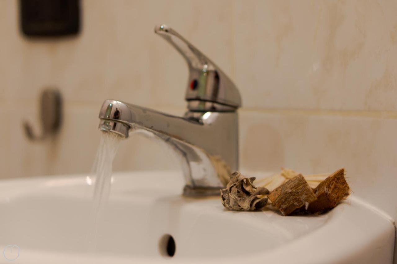 Domenichino Guesthouse Roma Ngoại thất bức ảnh